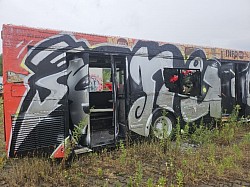 Bus